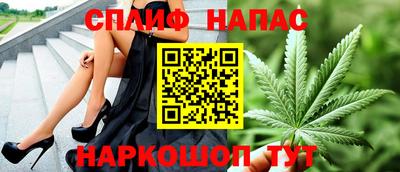 молекула духа Будённовск